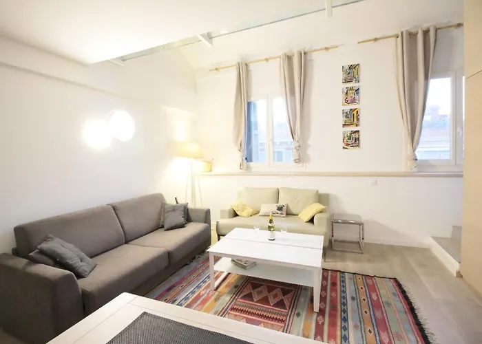 Duplex Lumineux Et Spacieux * Nice